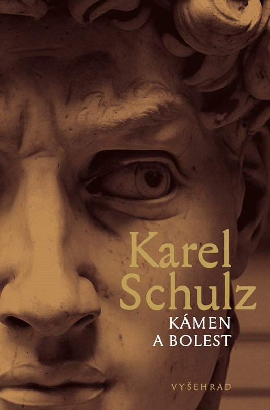 Levně Kámen a bolest - Karel Schulz