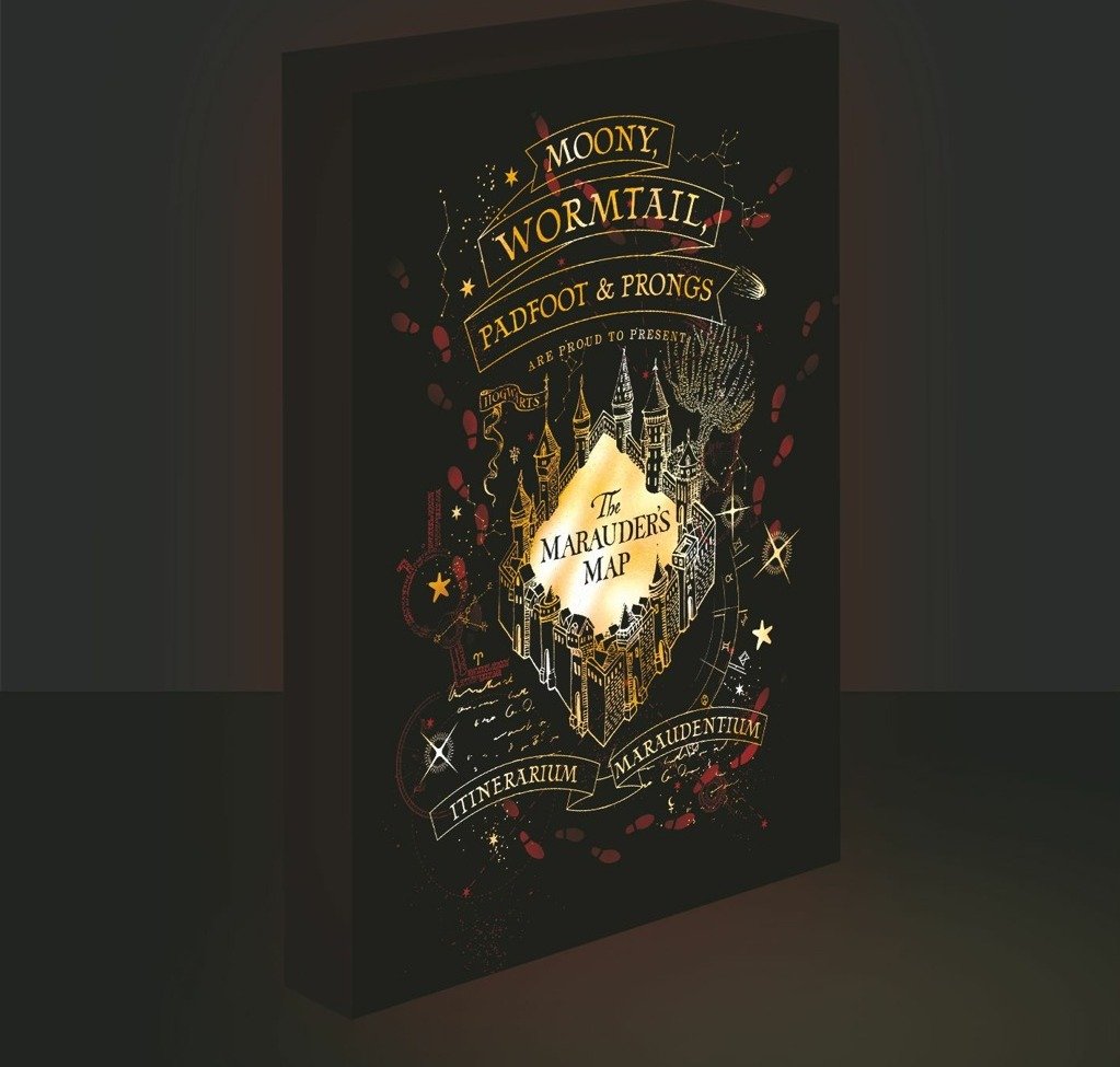 Levně Harry Potter obraz LED svítící 30x40 cm - Pobertův plánek - EPEE