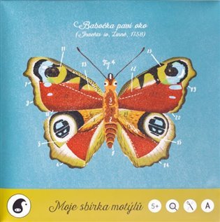 Levně Moje sbírka motýlů - Jitka Musilová