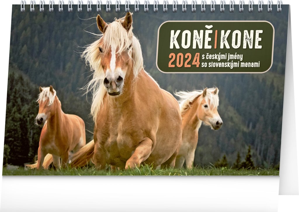 Kalendář 2024 stolní: Koně CZ/SK, 23,1 × 14,5 cm