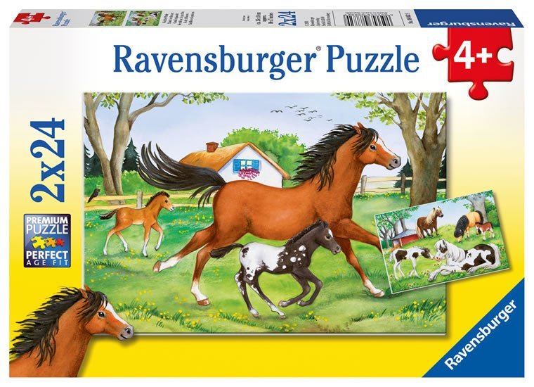 Levně Puzzle Svět koní/2x24 dílků