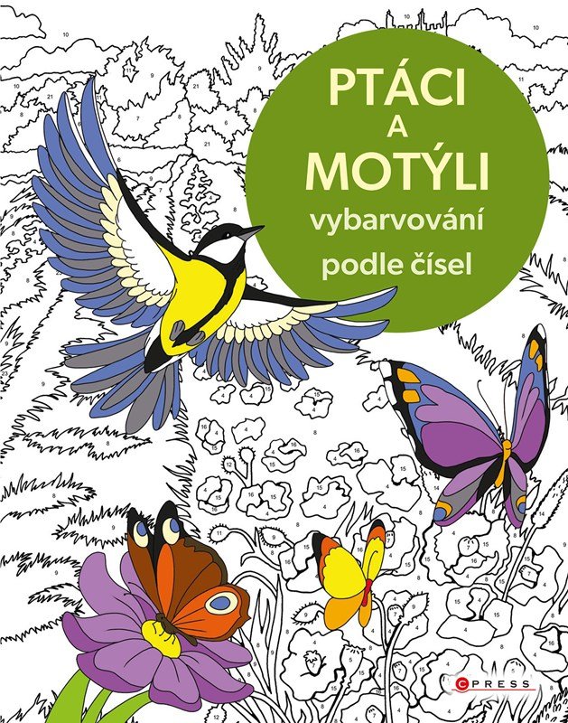 Levně Vybarvování podle čísel: Ptáci a motýli - Kolektiv