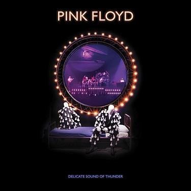 Pink Floyd: Delicate Sound Of Thunder - 2 CD - Pink Floyd
