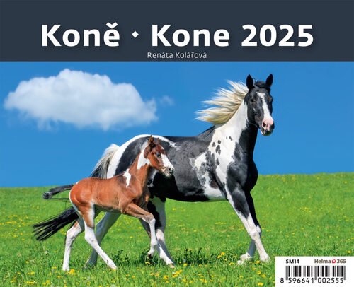 Levně Koně 2025 - stolní kalendář