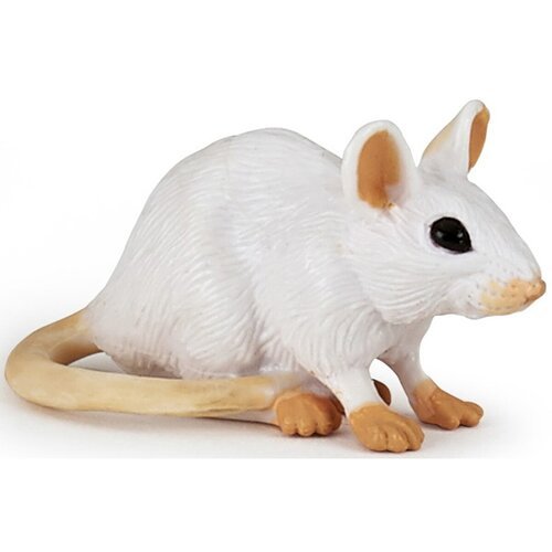 Levně Myš bílá