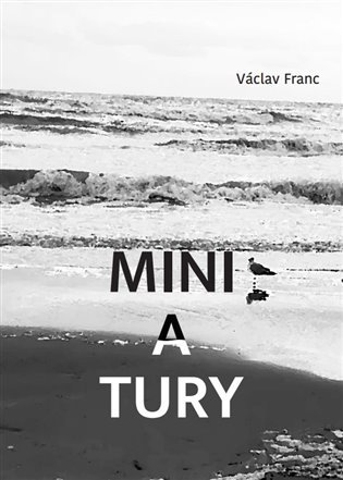 Levně Miniatury - Václav Franc