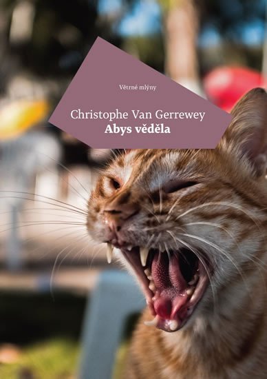 Abys věděla - Gerrewey Christophe Van