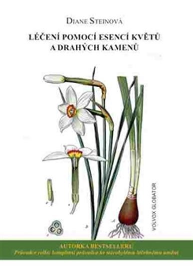 Levně Léčení pomocí esencí květů a drahých kamenů - Diane Steinová