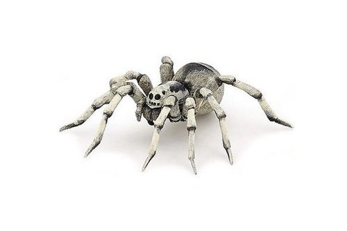 Levně Tarantule