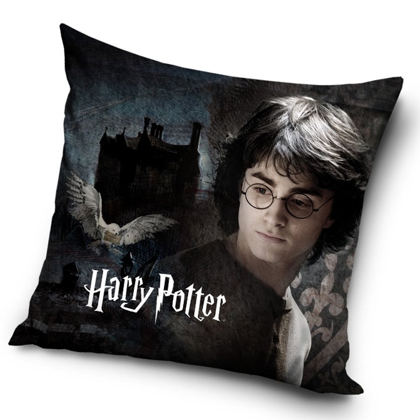 Levně Polštářek Harry Potter V tajemných Bradavicích