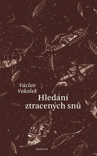 Levně Hledání ztracených snů - Václav Vokolek