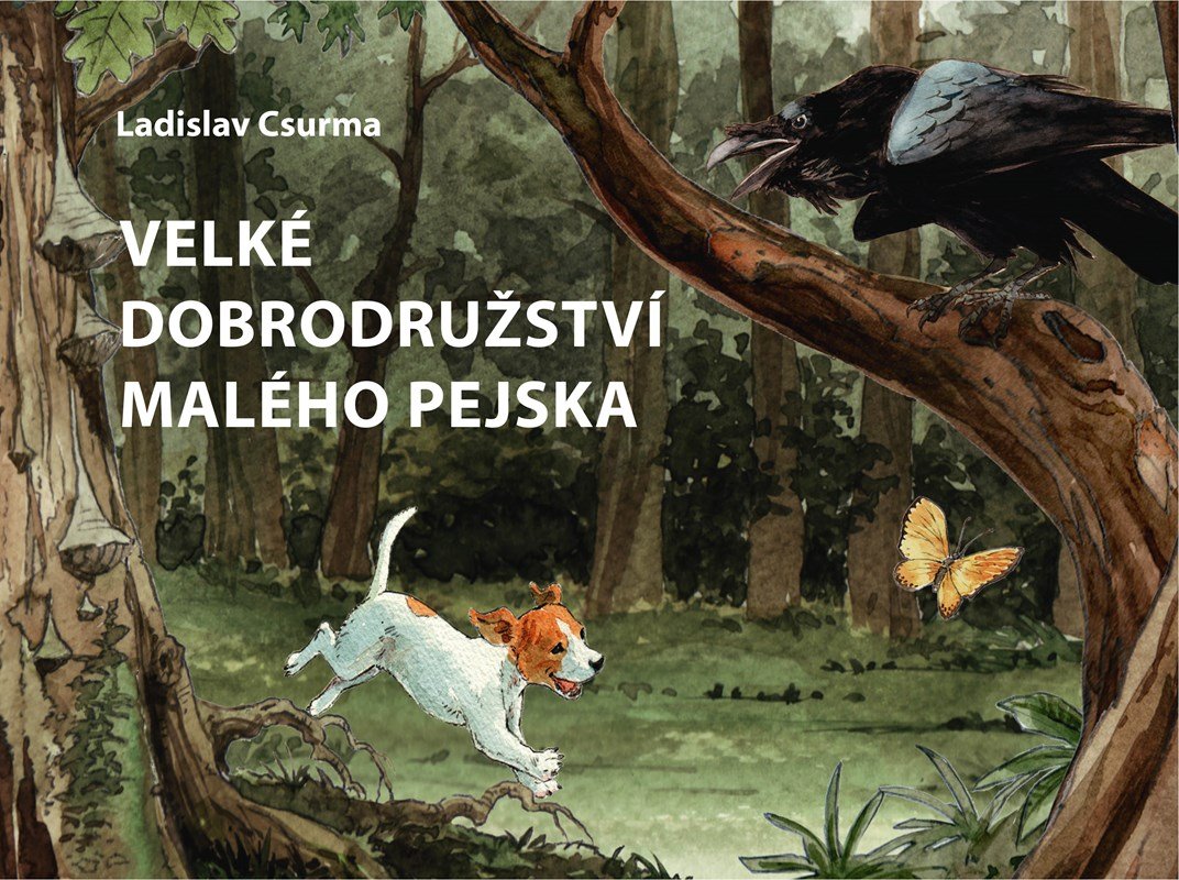 Levně Velké dobrodružství malého pejska - Ladislav Csurma