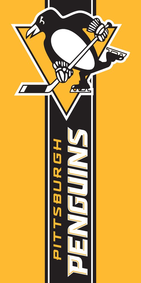 Levně Osuška NHL Pittsburgh Penguins Belt