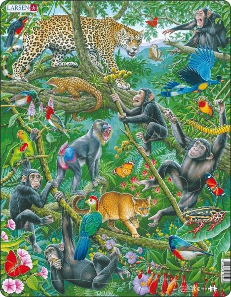 Levně Puzzle Africký deštný prales