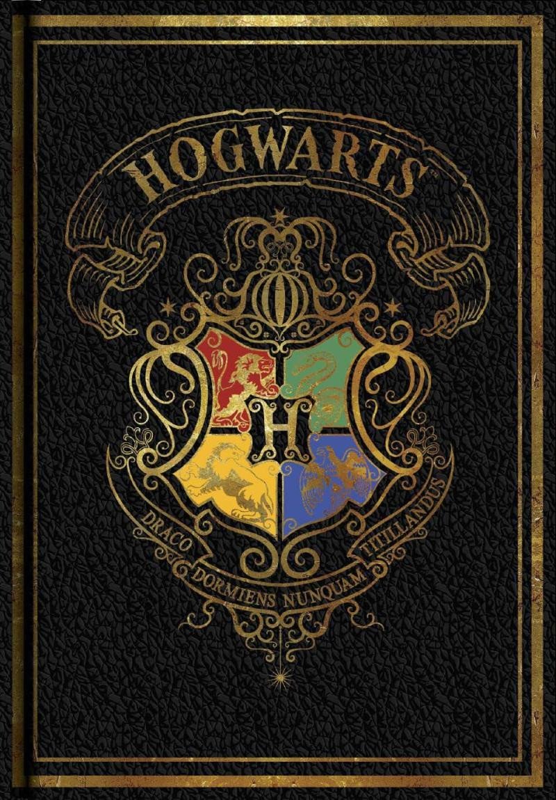 Levně Harry Potter Zápisník - Colourful černý - EPEE