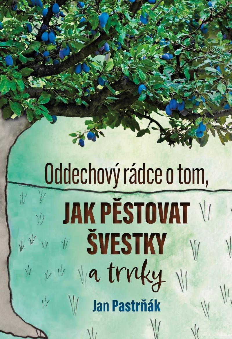 Levně Oddechový rádce o tom, jak pěstovat švestky - Jan Pastrňák