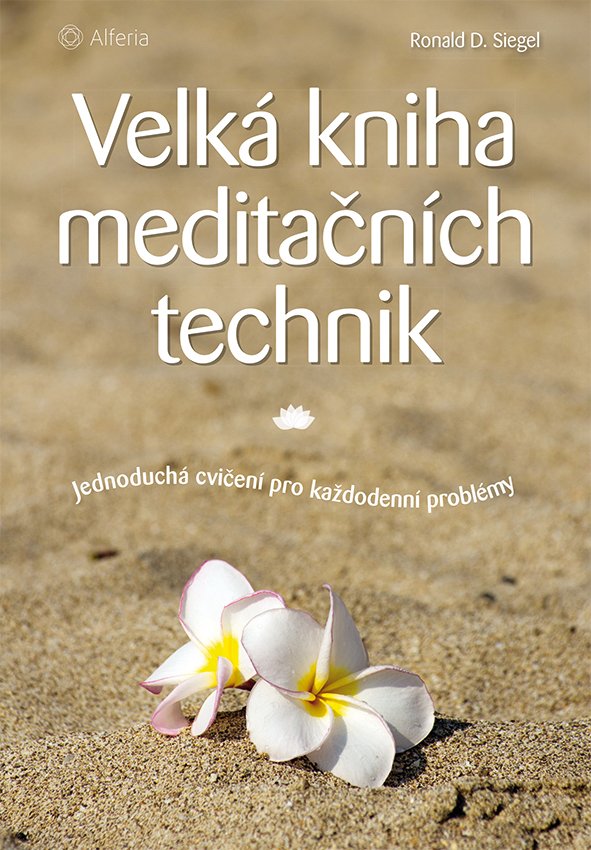 Levně Velká kniha meditačních technik - Jednoduchá cvičení pro každodenní problémy - Ronald D. Siegel