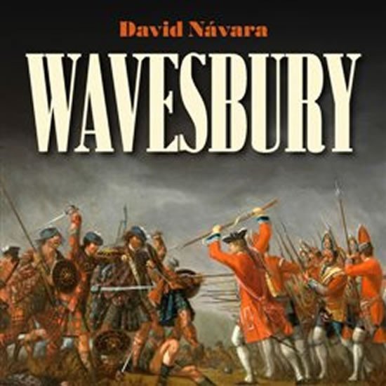 Levně Wavesbury - CDmp3 - David Návara