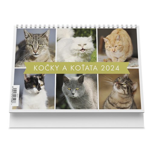 Levně Kočky a koťata 2024 - stolní kalendář