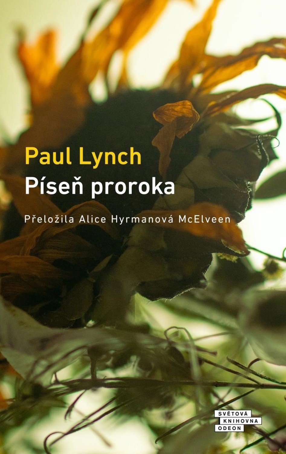 Levně Píseň proroka - Paul Lynch