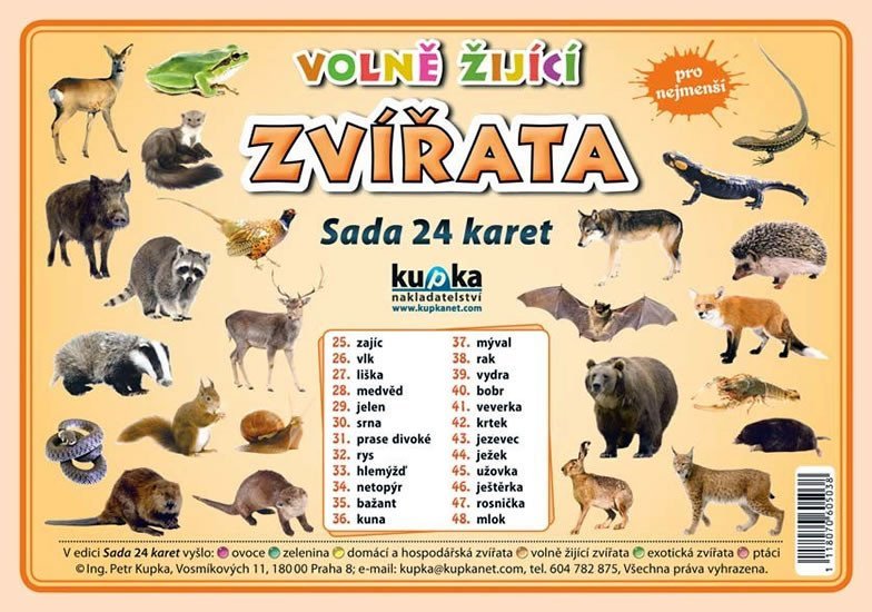 Levně Volně žijící zvířata - Sada 24 karet - Petr Kupka