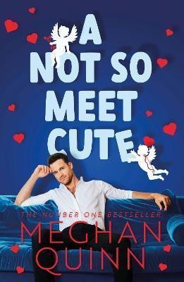 Levně A Not So Meet Cute - Meghan Quinn