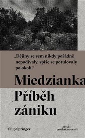Levně Miedzianka - Příběh zániku - Filip Springer