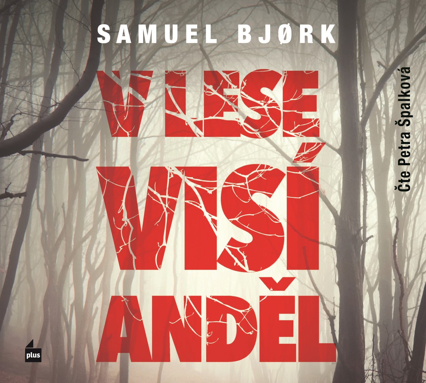 Levně V lese visí anděl (audiokniha) - Samuel Bjork