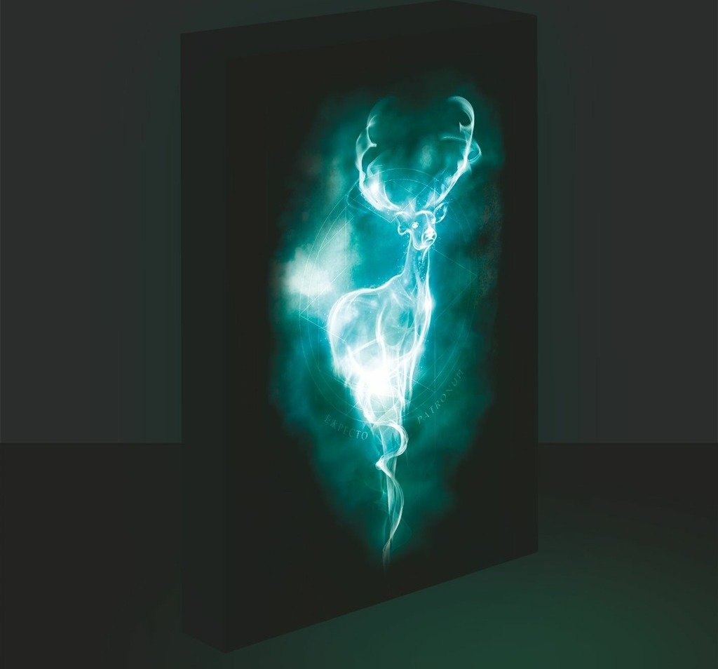 Levně Harry Potter obraz LED svítící 30x40 cm - Patron - EPEE