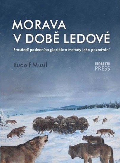 Morava v době ledové: Prostředí posledního glaciálu a metody jeho poznávání - Robert Musil
