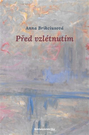 Levně Před vzlétnutím - Anna Brikciusová