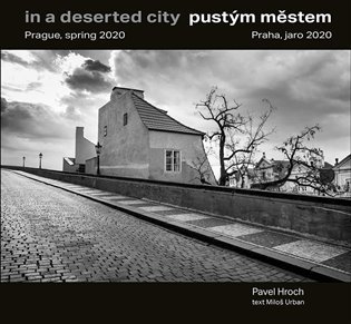 Levně Pustým městem / In a Deserted City - Pavel Hroch