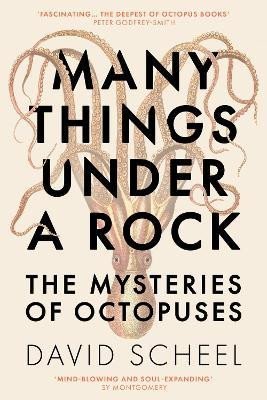 Levně Many Things Under a Rock: The Mysteries of Octopuses - David Scheel