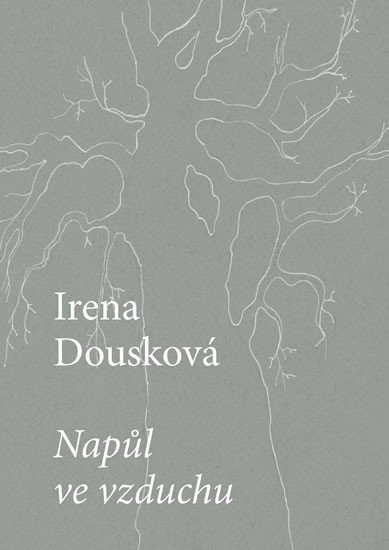 Levně Napůl ve vzduchu - Irena Dousková