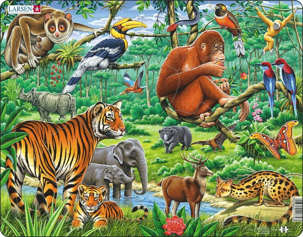 Puzzle MAXI - Džungle/20 dílků - Kohoutová Visiodan