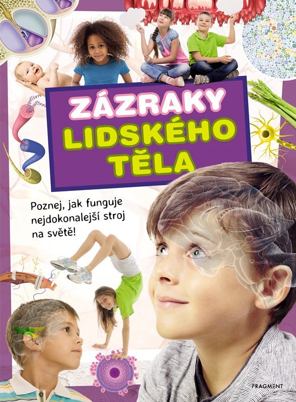 Zázraky lidského těla - Ilona Bagoly