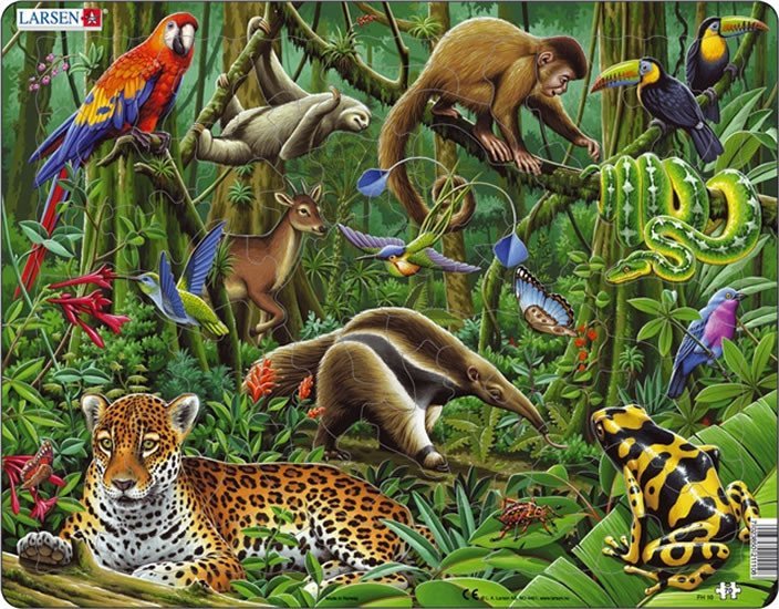 Levně Puzzle MAXI - Deštný prales Jižní Ameriky/70 dílků, 1. vydání