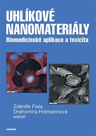 Levně Uhlíkové nanomateriály - Drahomíra Holmannová