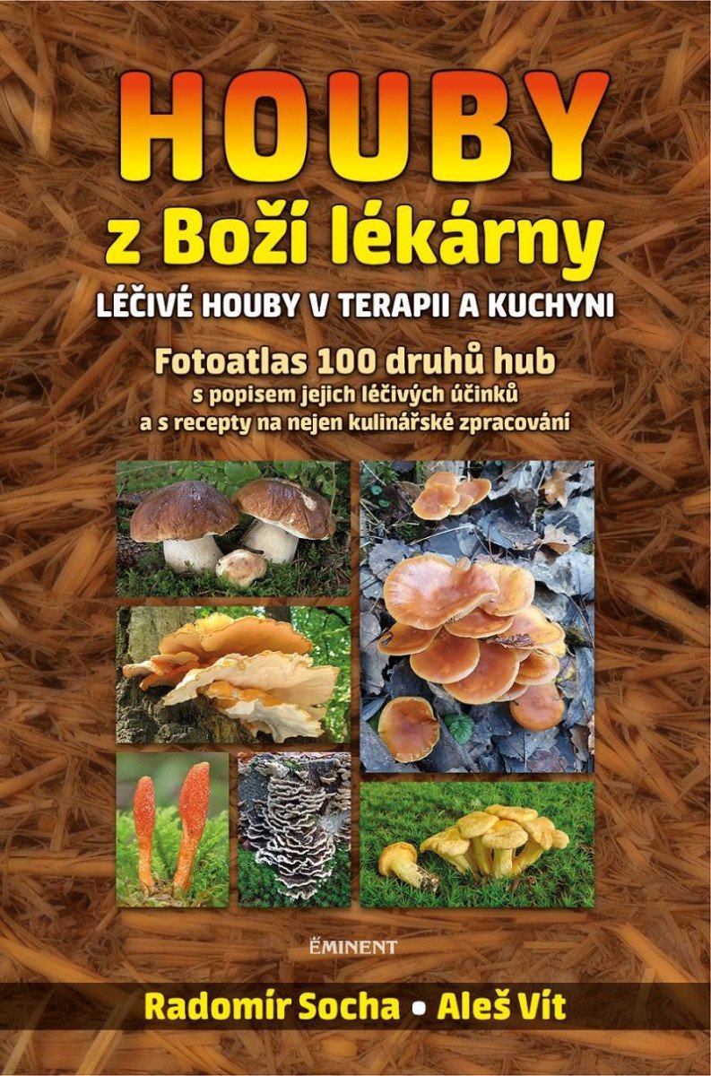 Houby z Boží lékárny - Léčivé houby v terapii a kuchyni - Radomír Socha