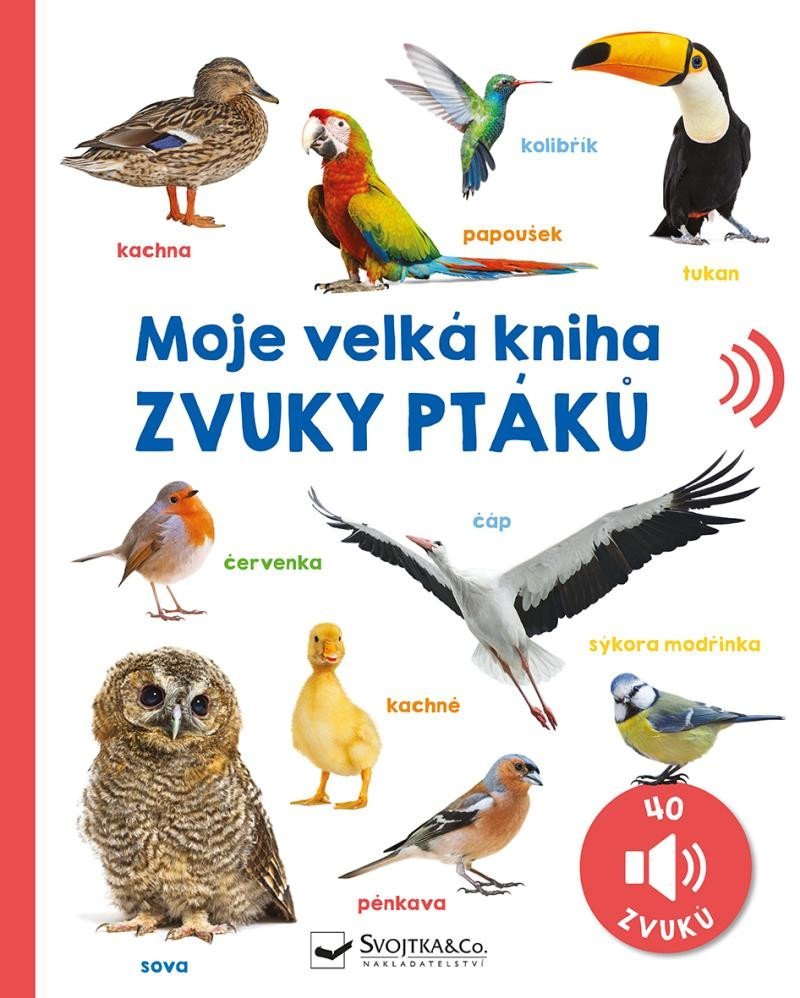 Levně Moje velká kniha Zvuky ptáků