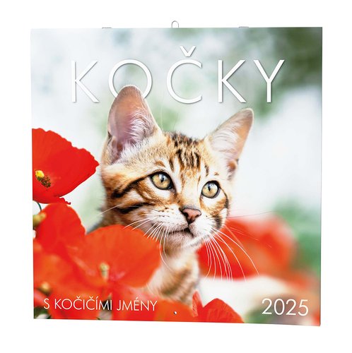 Levně Kočky 2025 - nástěnný kalendář