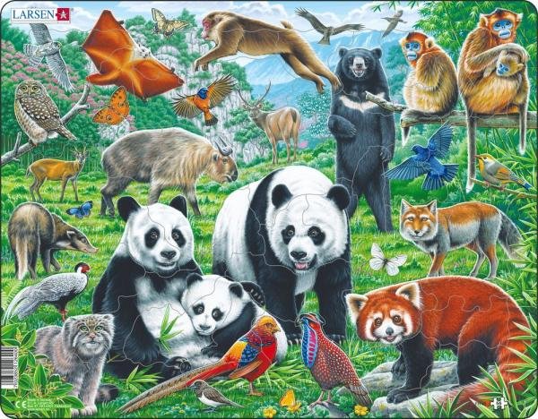 Levně Puzzle Čínská divoká příroda