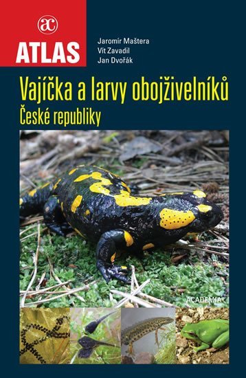 Levně Vajíčka a larvy obojživelníků ČR - Jaromír Maštera; Vít Zavadil; Jan Dvořák