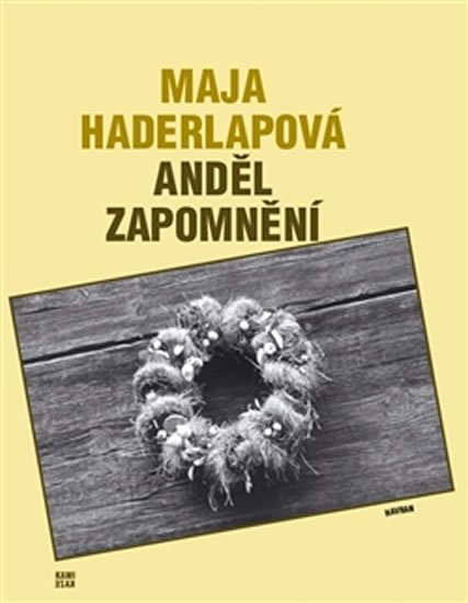 Levně Anděl zapomnění - Maja Haderlapová