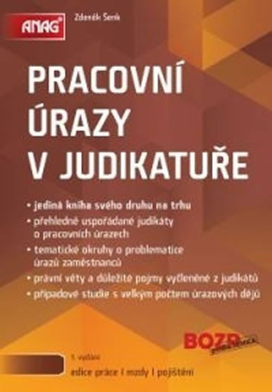 Levně Pracovní úrazy v judikatuře - Zdeněk Šenk