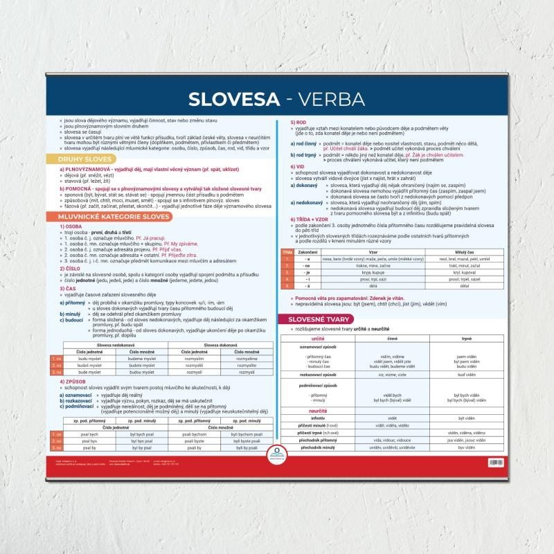 Levně Slovesa - Nástěnná mapa do třídy