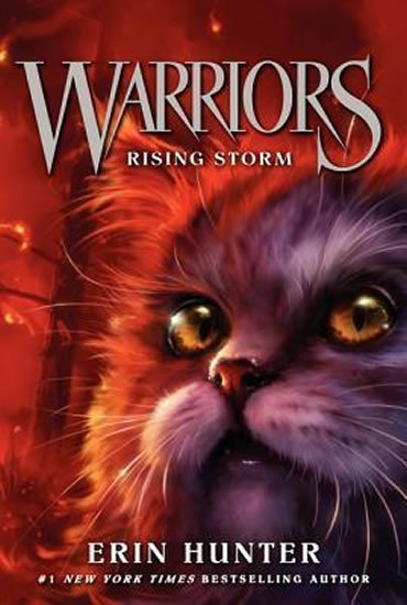 Levně Warriors 4 : Rising Storm - Erin Hunter
