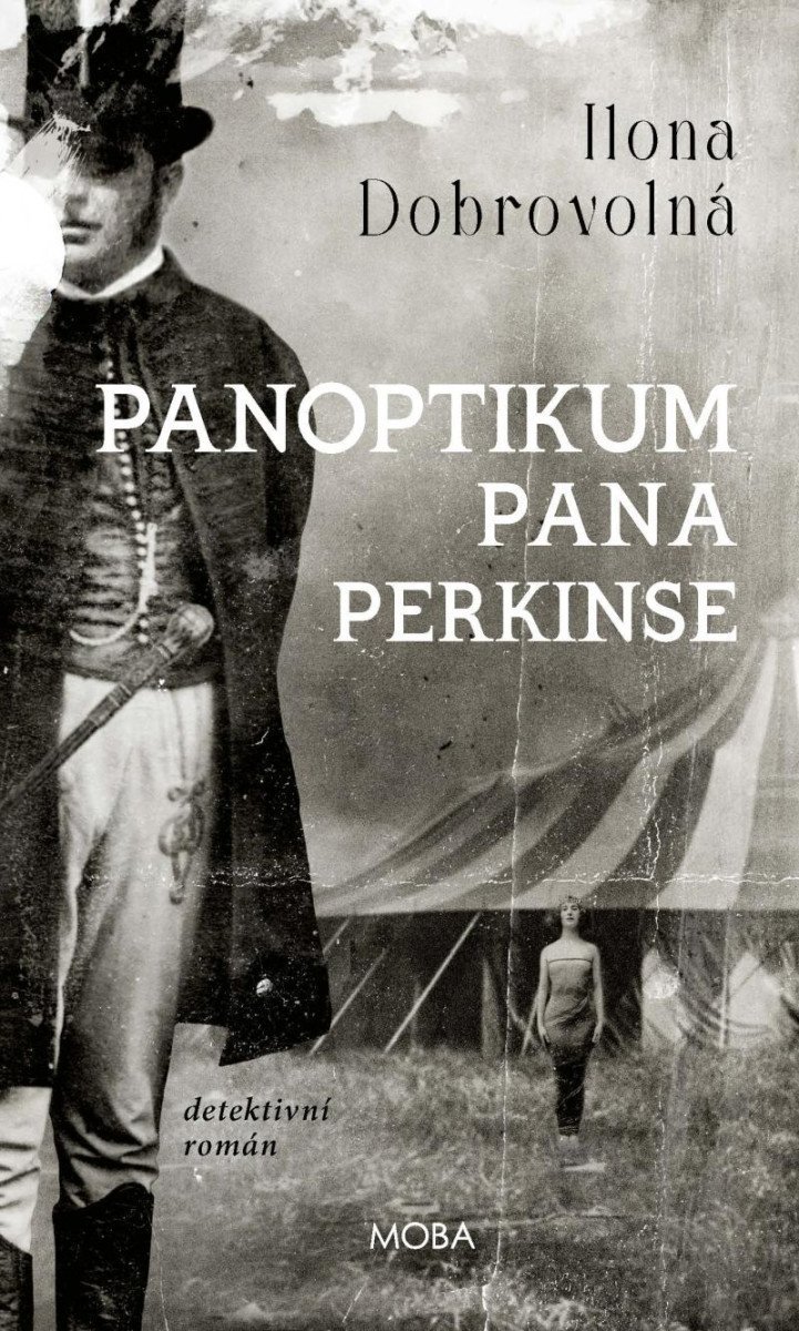 Levně Panoptikum pana Perkinse - Ilona Dobrovolná