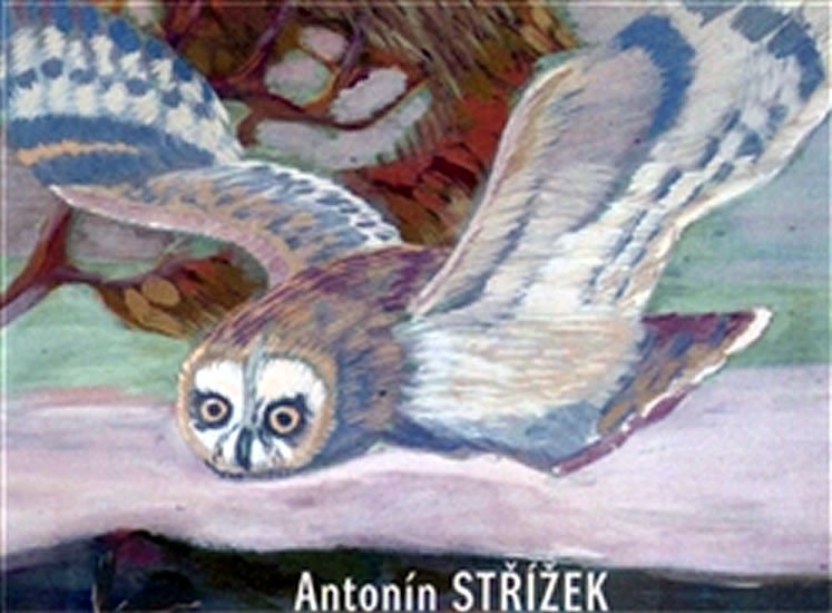 Levně Antonín Střížek - Martin Dostál