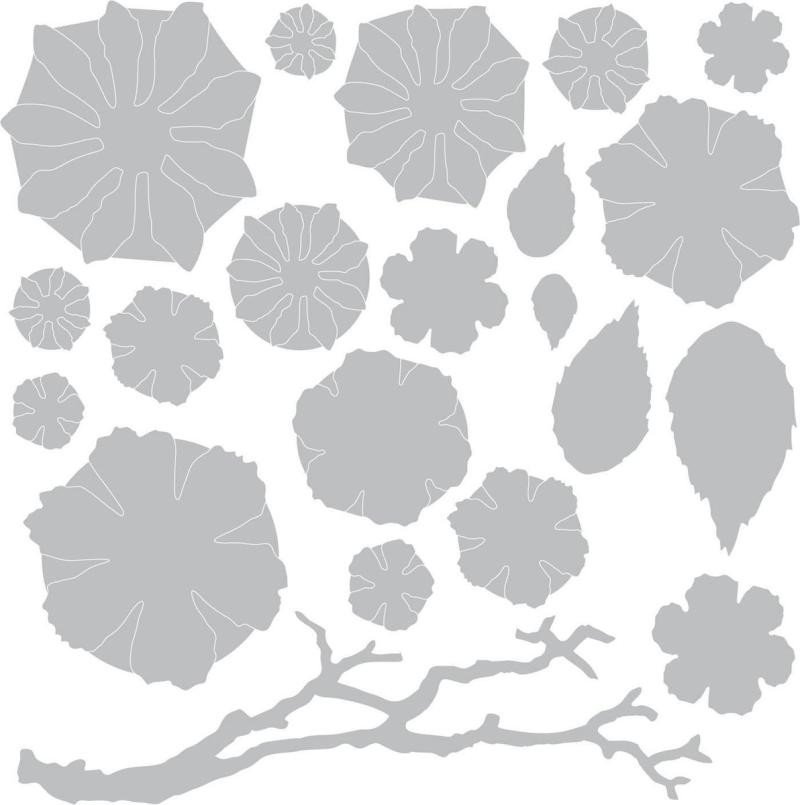 Levně SIZZIX Thinlits vyřezávací kovové šablony - květy a lístky 21 ks